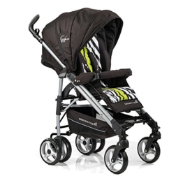 Gesslein S2 Buggy